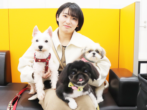 モデル犬の新しい家族が決まりました！PART②